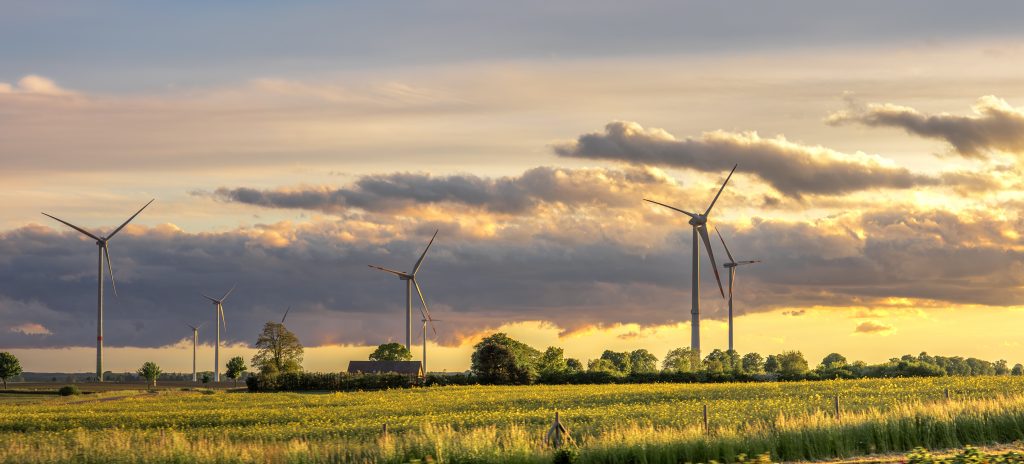 NUEVA ADJUDICACIÓN, LABRAZA